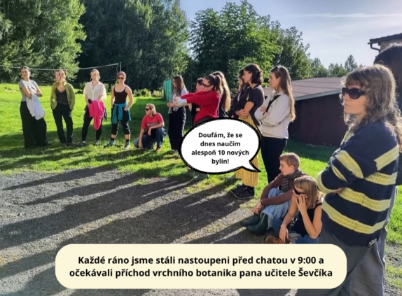 Ilustrativní obrázek příspěvku