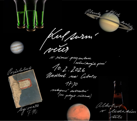 Ilustrativní obrázek příspěvku