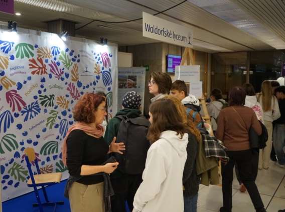 Ilustrativní obrázek příspěvku